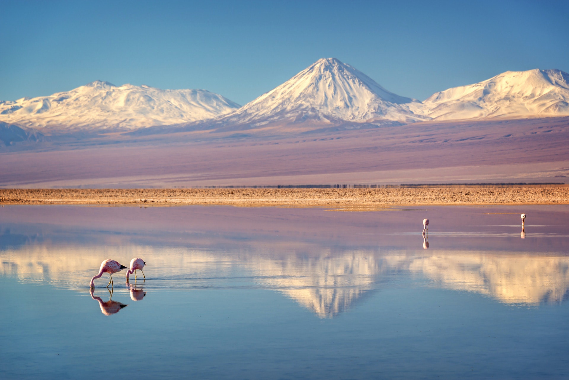 San Pedro de Atacama : 1 o 2 noches en alojamiento a elección